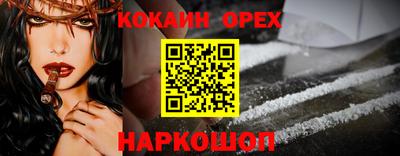 соль ск Сланцы
