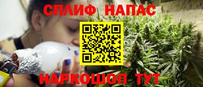 гидра Славгород