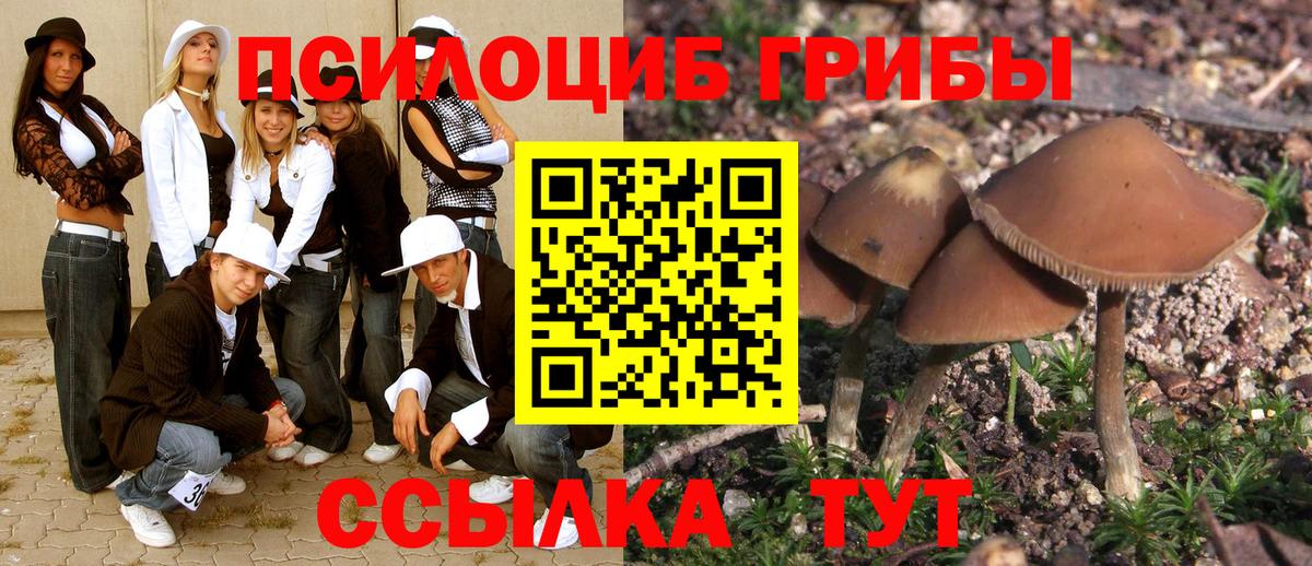 Галлюциногенные грибы Magic Shrooms Отрадный