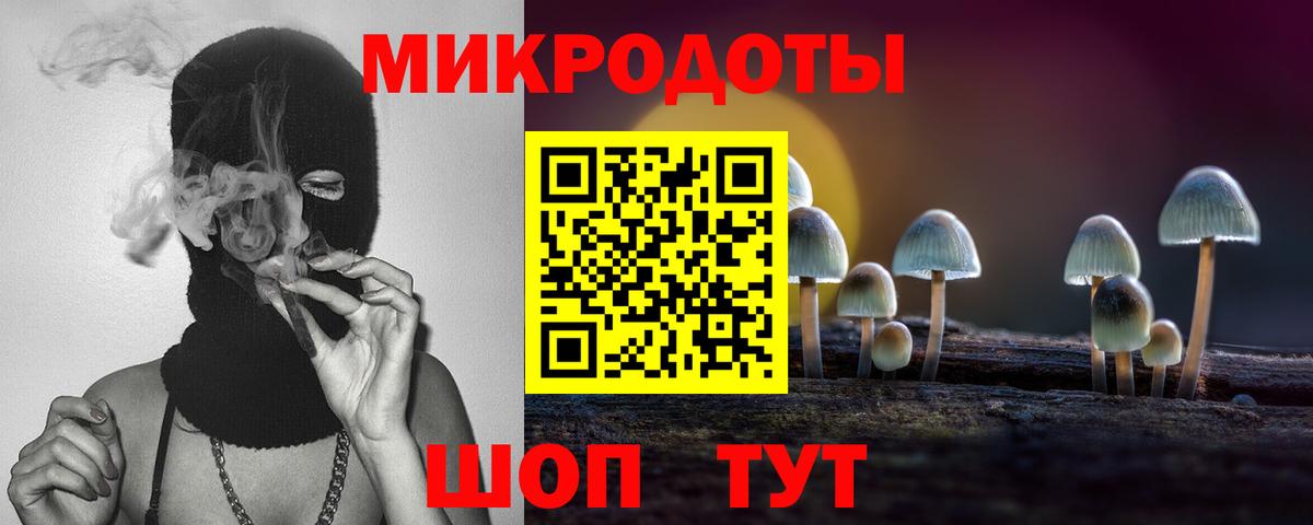 Псилоцибиновые грибы ЛСД  Вход с VPN  что такое   Отрадный  Галлюциногенные грибы MAGIC MUSHROOMS 
